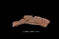 連杯形器藏品圖，第2張